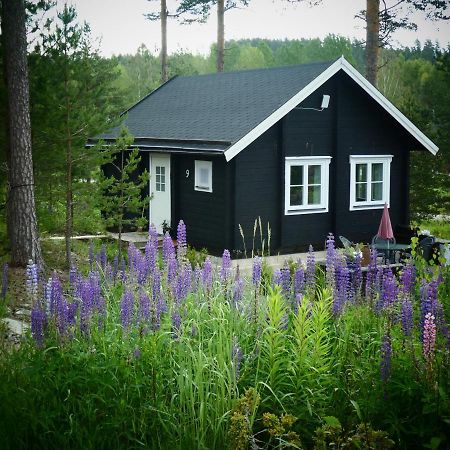 Froeya Timber Cottage Арвіка Екстер'єр фото