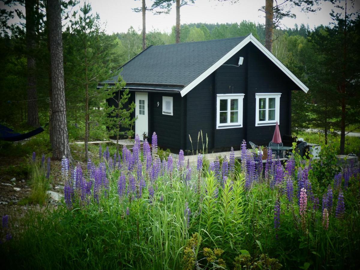Froeya Timber Cottage Арвіка Екстер'єр фото